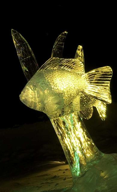 Ice 2006 2 IMGP8569.jpg